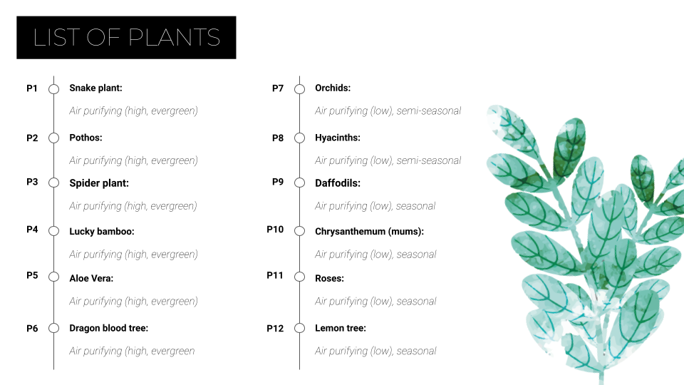 List of Plants