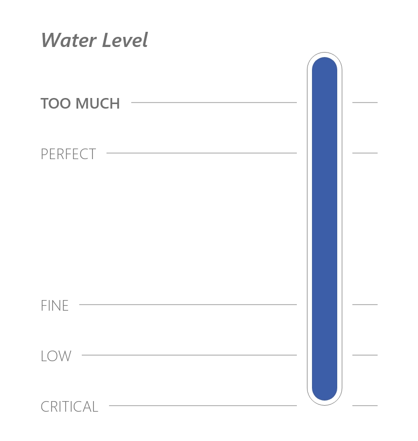 Water Level Portotype - Too Much Water