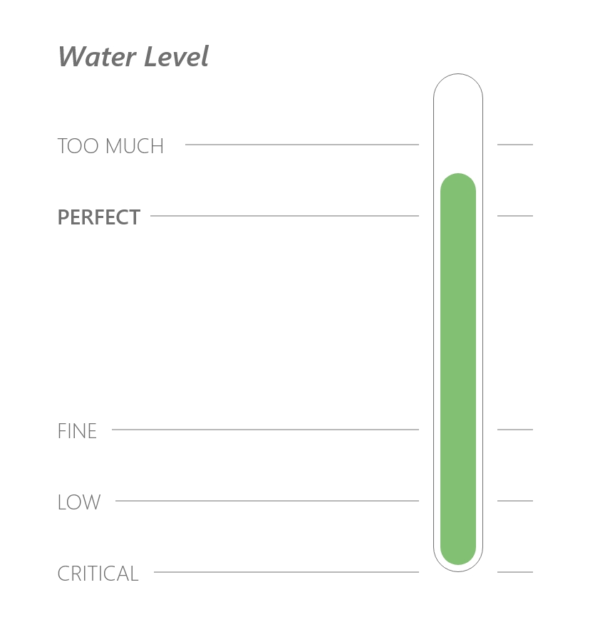 Water Level Portotype - Perfect Amount of Water