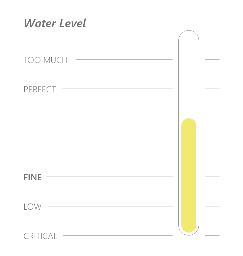 Water Level Portotype - Fine Amount of Water