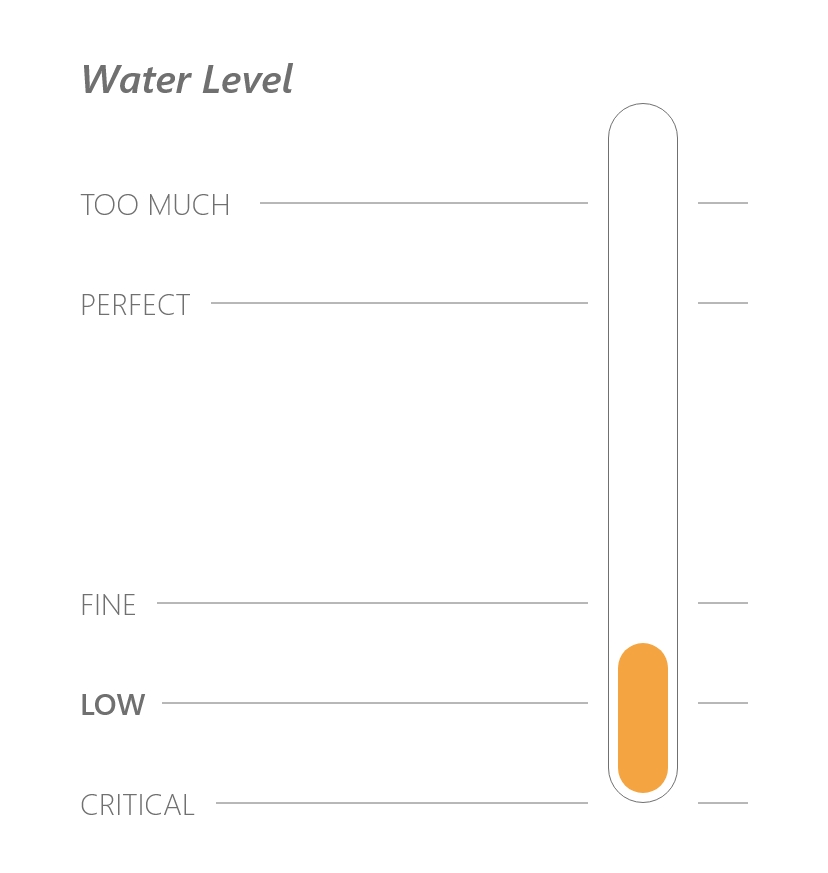 Water Level Portotype - Low Amount of Water