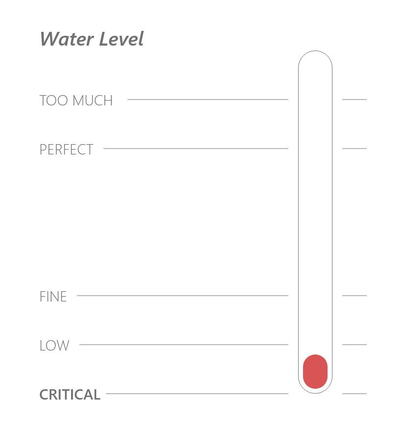 Water Level Portotype - Critically Low Amount of Water