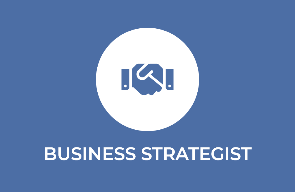 The Business Strategist Aspect