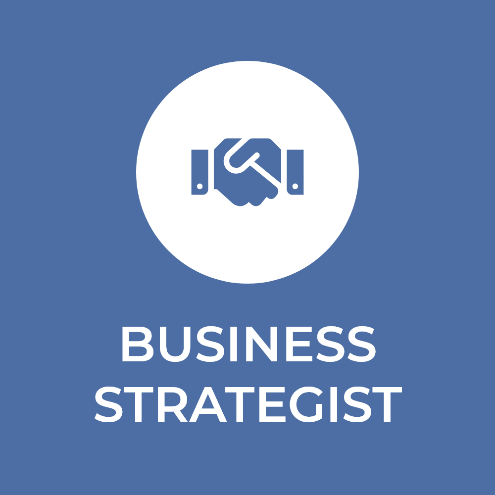 The Business Strategist Aspect